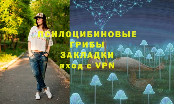 PSILOCYBIN Баксан
