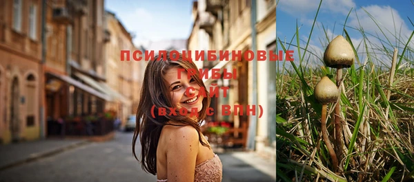 дмт Белоозёрский